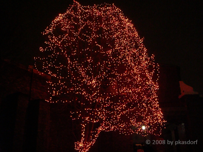 097 Toledo Zoo Light Show [2008 Dec 27].JPG - Scenes from the Toledo Zoo Light Show.